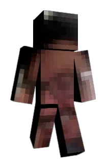 LARTONKI Minecraft avatar full body