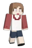 LA_TO Minecraft avatar full body