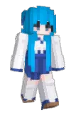 LBB00 Minecraft avatar full body