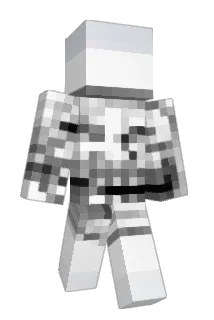 LB_VG08 Minecraft avatar full body