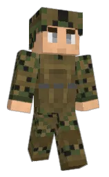 Custom render preview