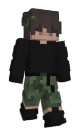 Custom render preview