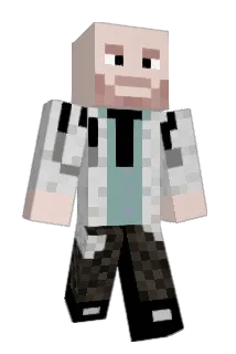 LD6909 Minecraft avatar full body