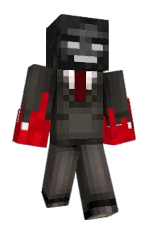 LDC11 Minecraft avatar full body