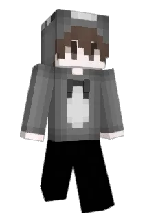 LEAWSD Minecraft avatar full body