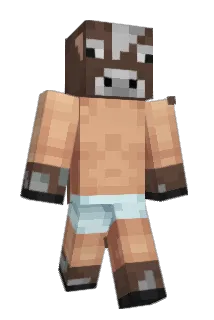 LEEWAI Minecraft avatar full body