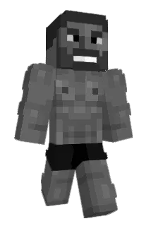 LEITIN0112 Minecraft avatar full body
