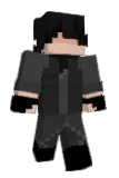 LES2101 Minecraft avatar full body