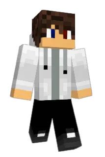 LEXER21 Minecraft avatar full body