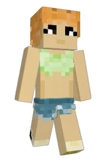 LGCdishwasher Minecraft avatar full body
