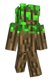 LGRSOLO Minecraft avatar full body
