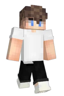 LGXB1 Minecraft avatar full body