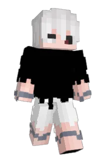 LHJ93 Minecraft avatar full body