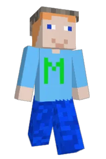 LIEGER Minecraft avatar full body