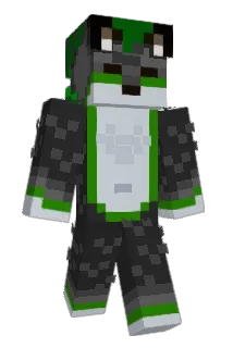 LINKUS234 Minecraft avatar full body