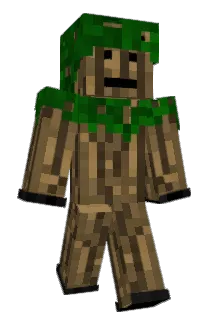 LImIted_EdIton Minecraft avatar full body