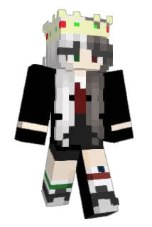 LLG88 Minecraft avatar full body