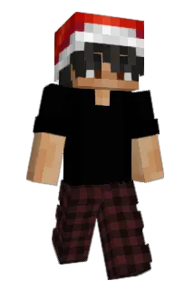 LLamativo Minecraft avatar full body