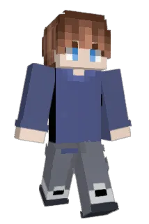LMFN2020 Minecraft avatar full body