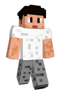 LM_RB Minecraft avatar full body