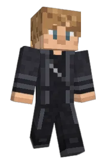 LNKY030 Minecraft avatar full body