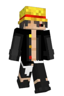 LNY_ Minecraft avatar full body