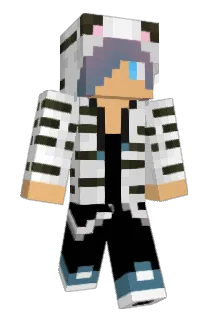 LR355 Minecraft avatar full body
