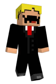 LS2001 Minecraft avatar full body