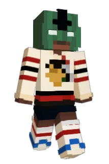 LSDSOSA Minecraft avatar full body