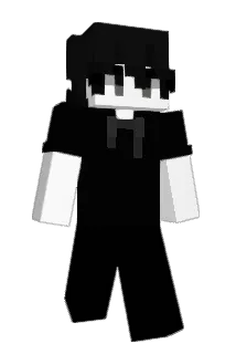 LSIQ73 Minecraft avatar full body
