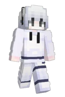 LSLDAODAOA Minecraft avatar full body