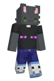 LSR2007 Minecraft avatar full body