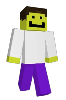 LSZHB08 Minecraft avatar full body