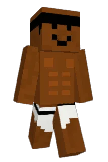 LT_MICROTISS Minecraft avatar full body