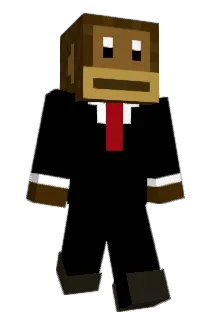 LVC_2020 Minecraft avatar full body