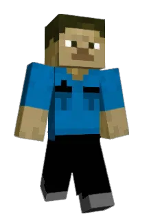 LYX20014 Minecraft avatar full body