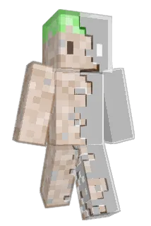 LYY_yang Minecraft avatar full body