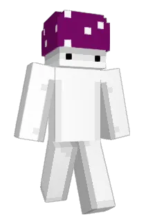 LZ9 Minecraft avatar full body