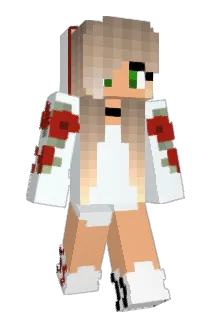 L_Diamond Minecraft avatar full body