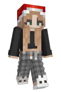 L_is_a Minecraft avatar full body