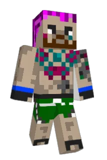 L_the Minecraft avatar full body