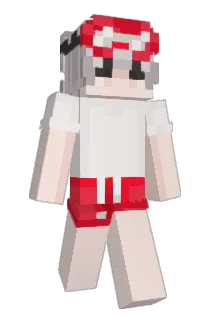 LaaBudda Minecraft avatar full body