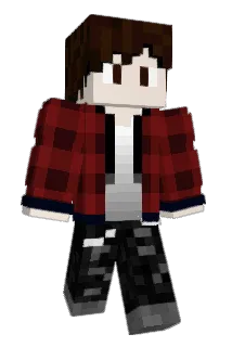 Ladarelo Minecraft avatar full body