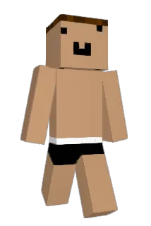 LadyD96 Minecraft avatar full body