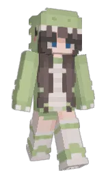 Custom render preview