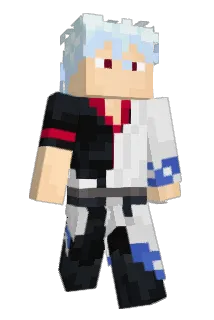 Lain_Lain_L1 Minecraft avatar full body
