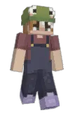 Lamsect Minecraft avatar full body