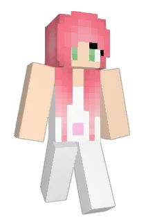 LandOLlakes Minecraft avatar full body