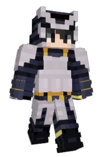 Landerson8 Minecraft avatar full body