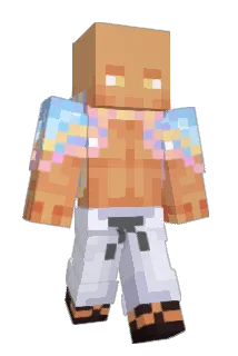 Landi274 Minecraft avatar full body